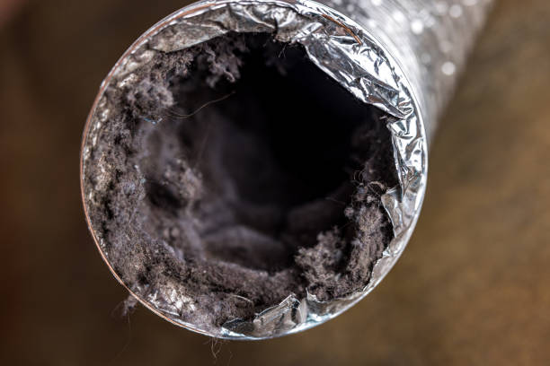 Best HVAC Duct Inspection Services  in Martinsvle, IL
