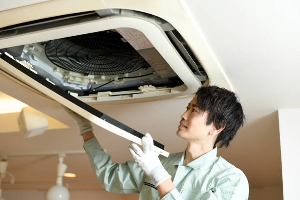Best HVAC Air Duct Cleaning  in Martinsvle, IL